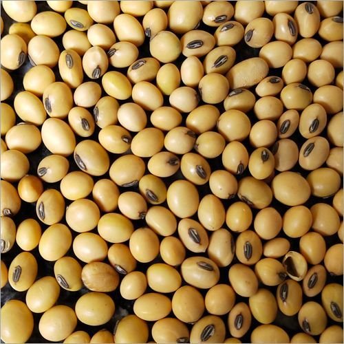 Soy Bean Delights